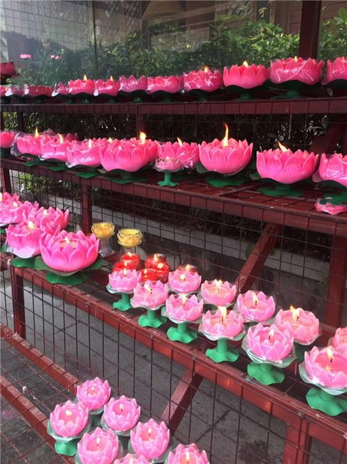 佛燈 緣益坊酥油 佛燈佛堂高清圖片 高清大圖