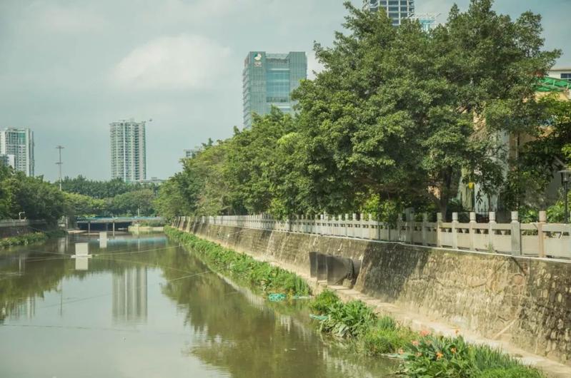 寶安水經(jīng)注&middot;新安 | 堤岸拂綠、花紅臨水,河流讓城市更靈動(dòng)